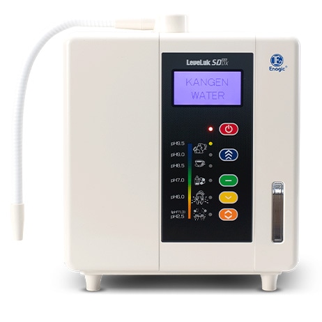 Leveluk SD501DX