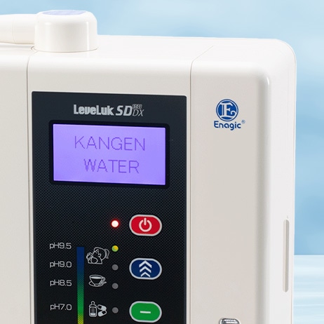 Leveluk SD501DX, view 2